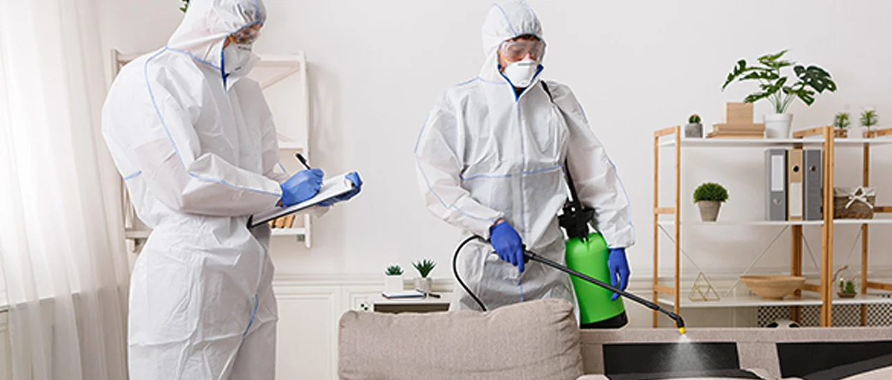 A team of cleaners using disinfectant sprays to sanitize the interior of a house.